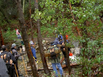 More creek crossings