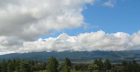 Mt. Shasta