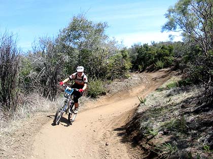 Sagebrush Safari 1