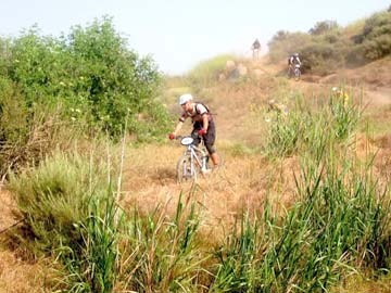 Lacey on the downhill