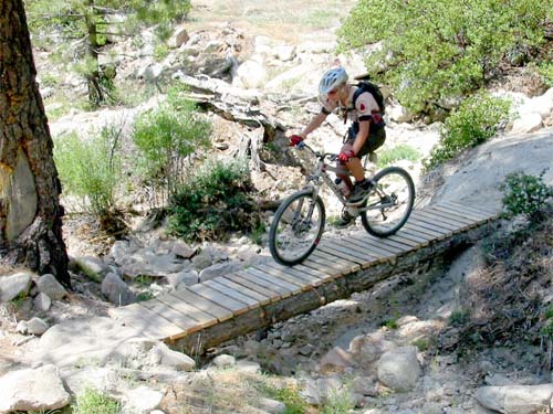 Lacey on a bridge crossing